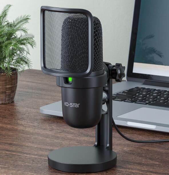 Notebook Computer Game Voice Live Broadcast USB Microphone - My 2 buyAudio & Video